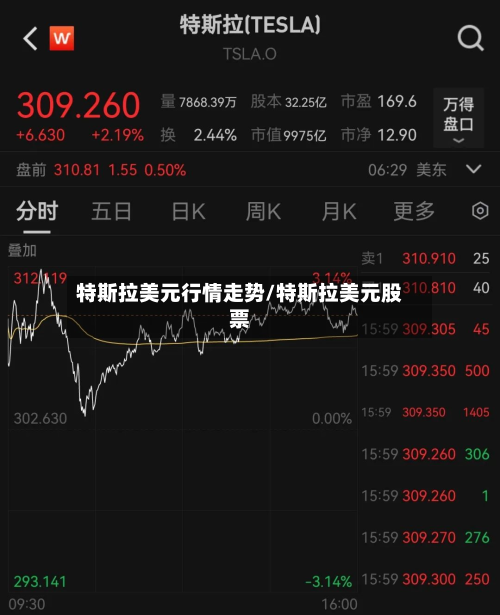 特斯拉美元行情走势/特斯拉美元股票
