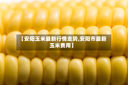 【安阳玉米最新行情走势,安阳市最新玉米费用】-第2张图片