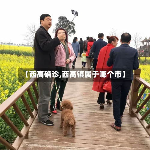 【西高确诊,西高镇属于哪个市】