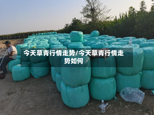 今天草青行情走势/今天草青行情走势如何-第2张图片