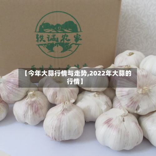 【今年大蒜行情与走势,2022年大蒜的行情】