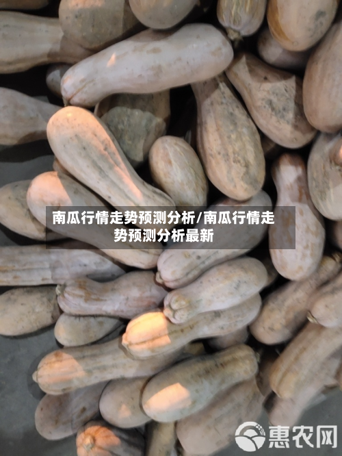 南瓜行情走势预测分析/南瓜行情走势预测分析最新