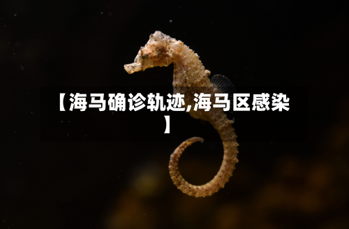 【海马确诊轨迹,海马区感染】-第2张图片