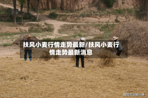 扶风小麦行情走势最新/扶风小麦行情走势最新消息