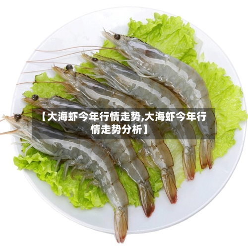 【大海虾今年行情走势,大海虾今年行情走势分析】-第2张图片
