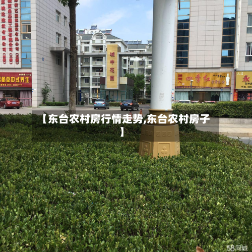 【东台农村房行情走势,东台农村房子】
