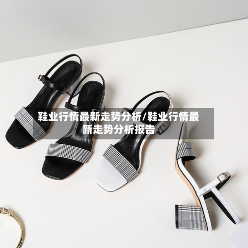 鞋业行情最新走势分析/鞋业行情最新走势分析报告-第2张图片