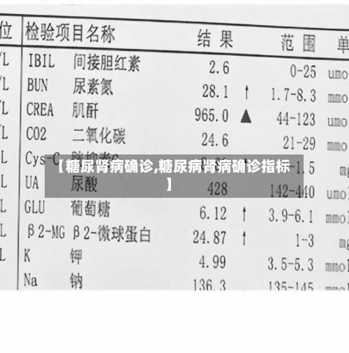 【糖尿肾病确诊,糖尿病肾病确诊指标】-第2张图片