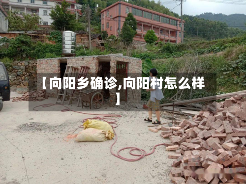 【向阳乡确诊,向阳村怎么样】-第3张图片