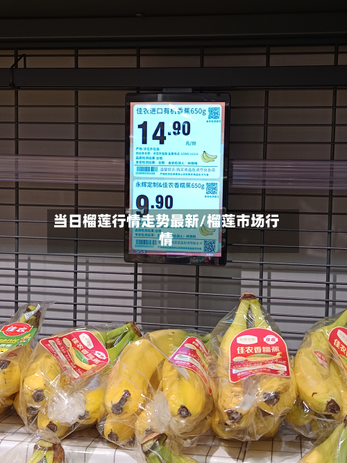 当日榴莲行情走势最新/榴莲市场行情-第2张图片