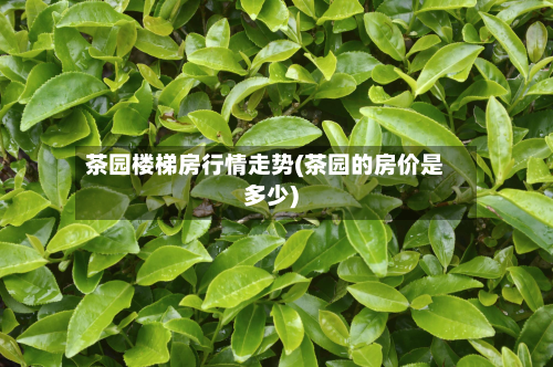 茶园楼梯房行情走势(茶园的房价是多少)