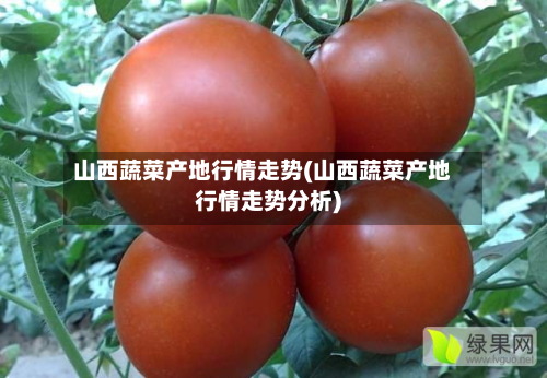 山西蔬菜产地行情走势(山西蔬菜产地行情走势分析)-第2张图片
