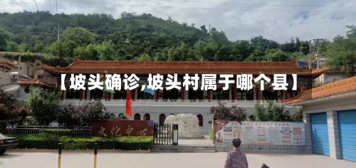 【坡头确诊,坡头村属于哪个县】-第3张图片