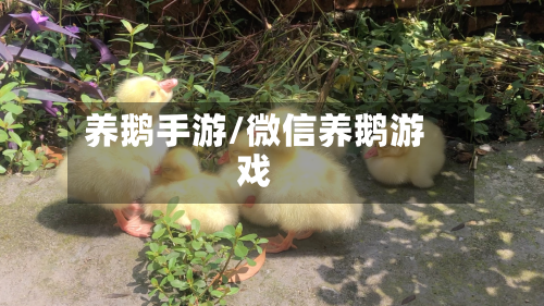 养鹅手游/微信养鹅游戏-第3张图片