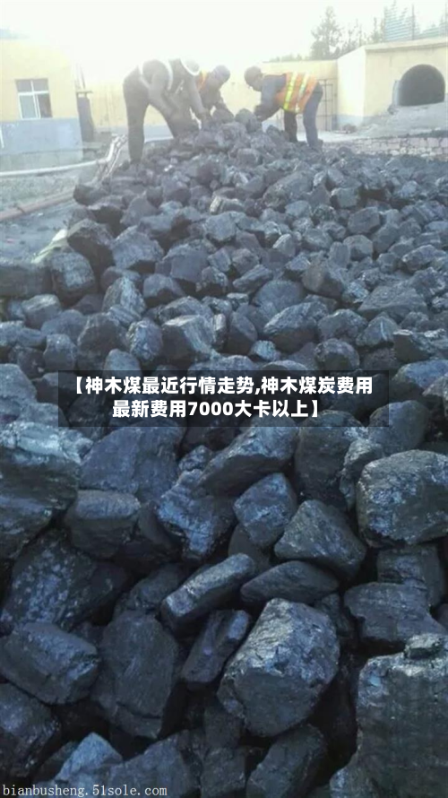 【神木煤最近行情走势,神木煤炭费用最新费用7000大卡以上】