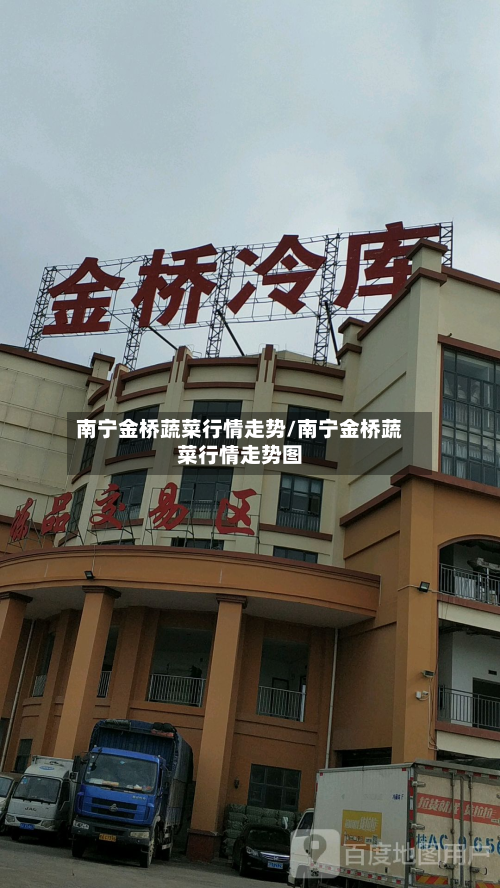 南宁金桥蔬菜行情走势/南宁金桥蔬菜行情走势图-第3张图片