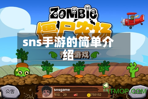 sns手游的简单介绍-第3张图片