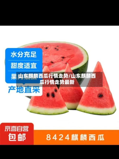 山东麒麟西瓜行情走势/山东麒麟西瓜行情走势最新-第3张图片