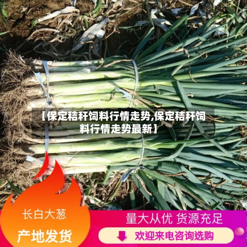 【保定秸秆饲料行情走势,保定秸秆饲料行情走势最新】