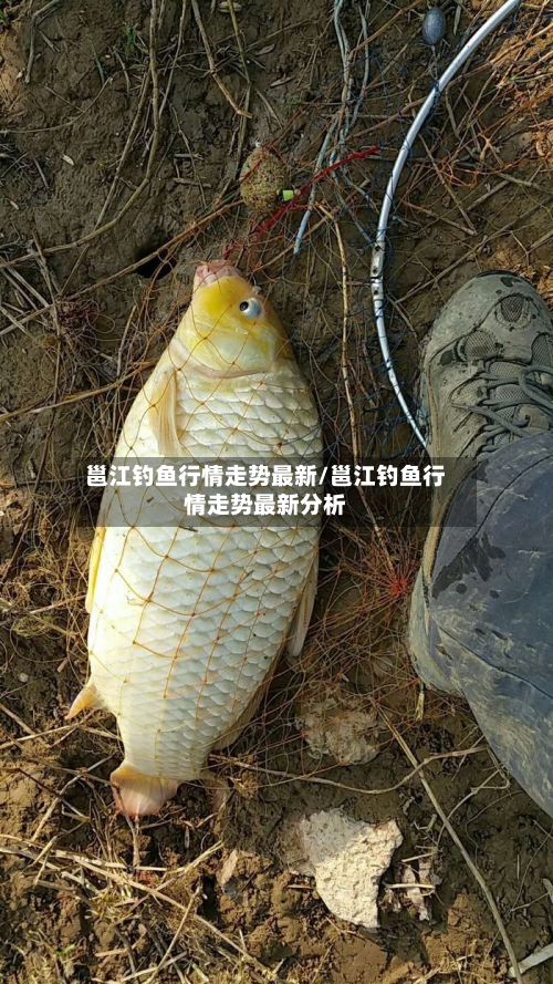 邕江钓鱼行情走势最新/邕江钓鱼行情走势最新分析