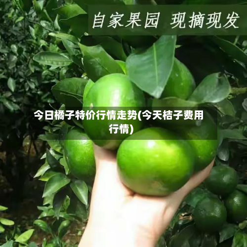 今日橘子特价行情走势(今天桔子费用行情)