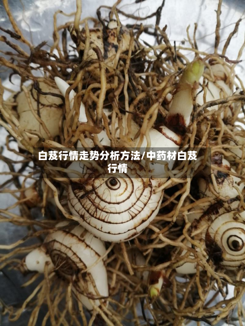 白芨行情走势分析方法/中药材白芨行情-第3张图片