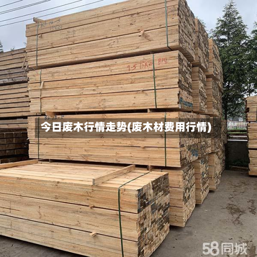 今日废木行情走势(废木材费用行情)-第2张图片