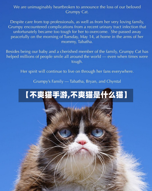 【不爽猫手游,不爽猫是什么猫】-第3张图片