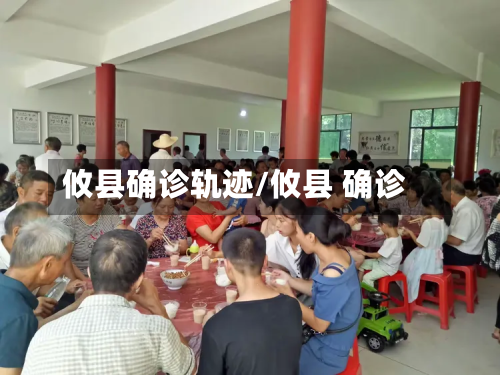 攸县确诊轨迹/攸县 确诊-第3张图片