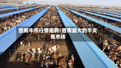西南牛市行情走势/西南最大的牛交易市场-第2张图片