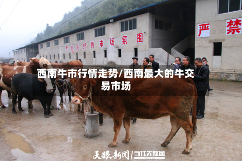 西南牛市行情走势/西南最大的牛交易市场