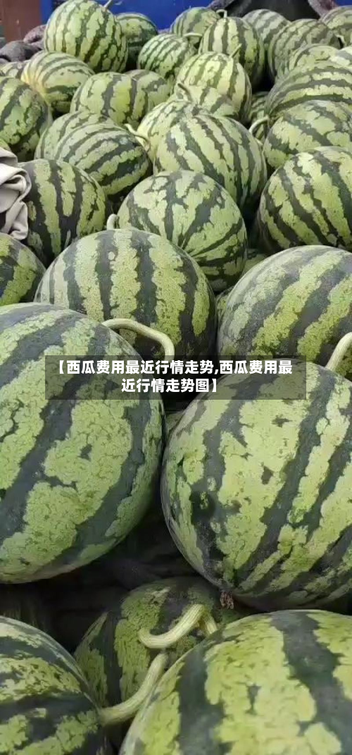 【西瓜费用最近行情走势,西瓜费用最近行情走势图】-第3张图片
