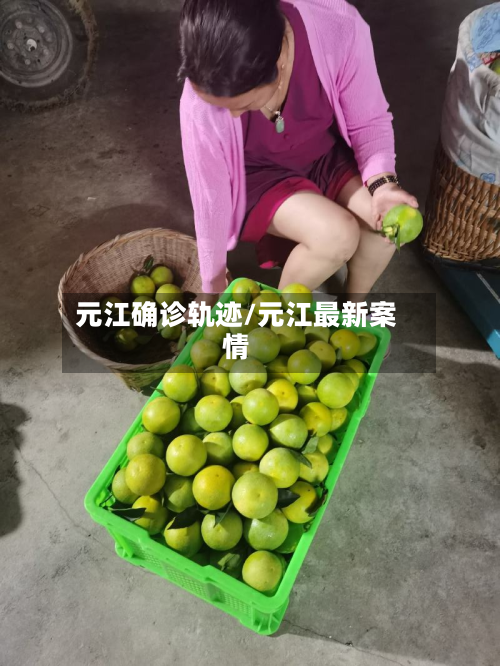 元江确诊轨迹/元江最新案情-第2张图片