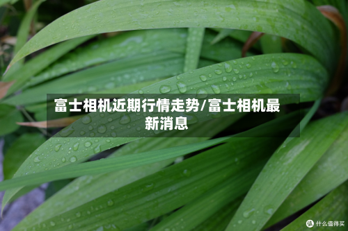 富士相机近期行情走势/富士相机最新消息-第3张图片