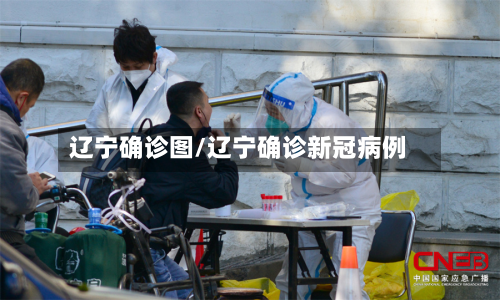 辽宁确诊图/辽宁确诊新冠病例