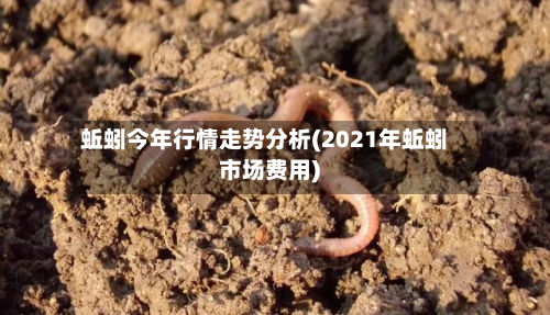 蚯蚓今年行情走势分析(2021年蚯蚓市场费用)-第2张图片