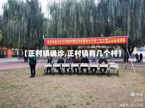 【正村镇确诊,正村镇有几个村】-第2张图片