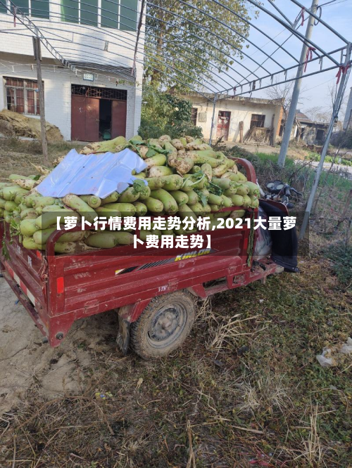 【萝卜行情费用走势分析,2021大量萝卜费用走势】