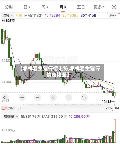 【怎样看生猪行情走势,怎样看生猪行情走势图】-第2张图片