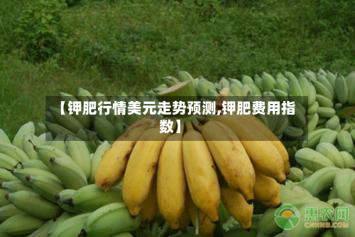 【钾肥行情美元走势预测,钾肥费用指数】
