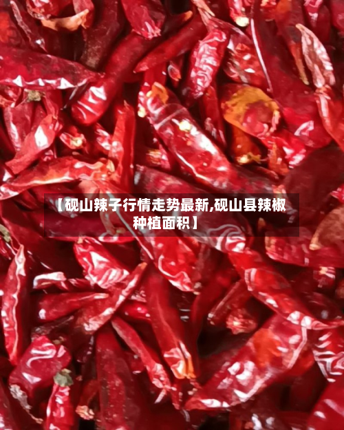 【砚山辣子行情走势最新,砚山县辣椒种植面积】