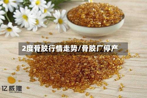 2度骨胶行情走势/骨胶厂停产