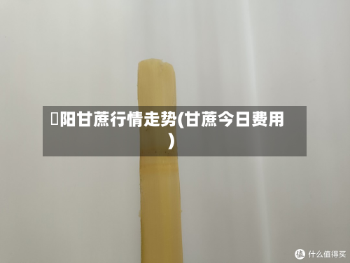 濛阳甘蔗行情走势(甘蔗今日费用)
