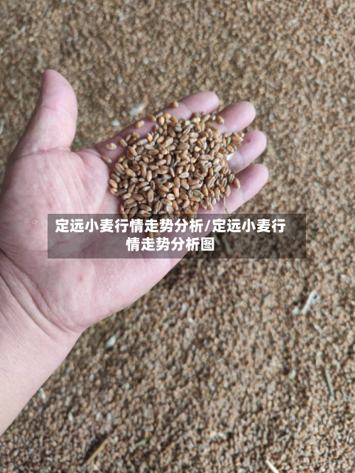 定远小麦行情走势分析/定远小麦行情走势分析图