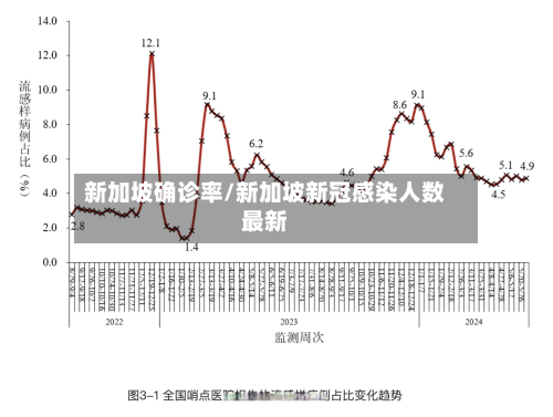 新加坡确诊率/新加坡新冠感染人数最新-第2张图片