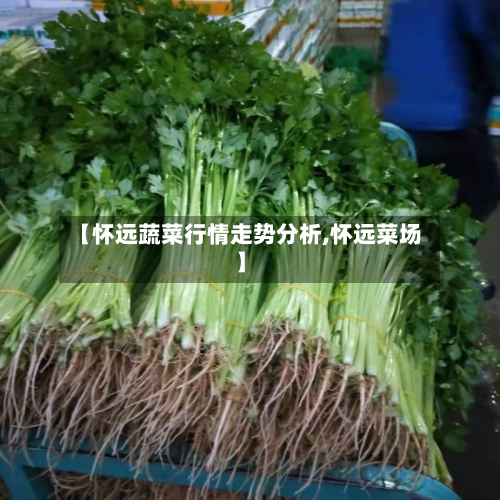 【怀远蔬菜行情走势分析,怀远菜场】-第2张图片