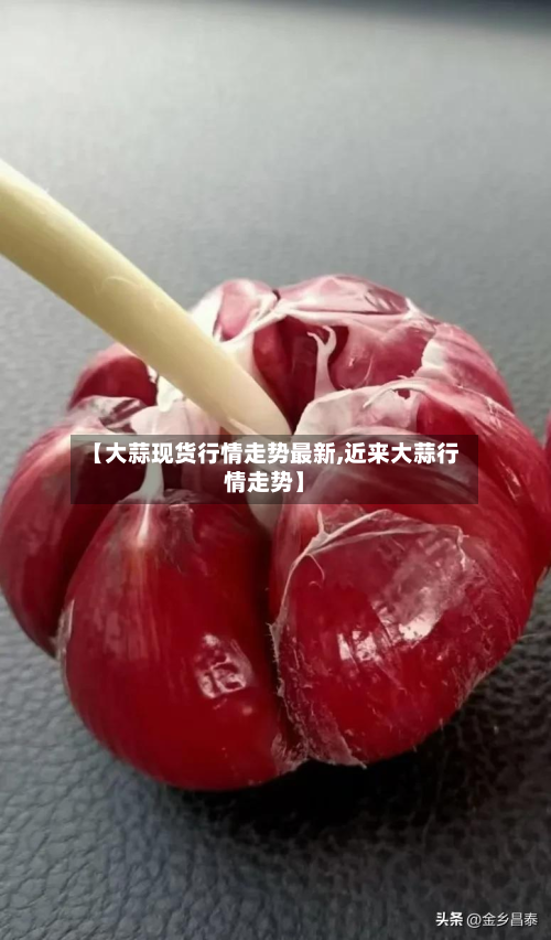 【大蒜现货行情走势最新,近来大蒜行情走势】