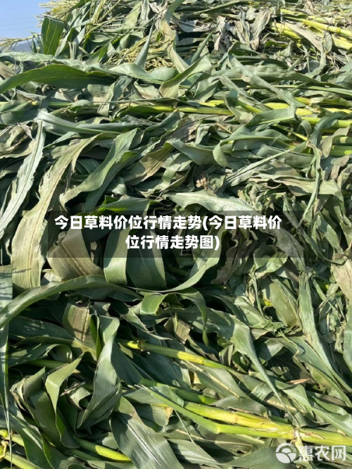 今日草料价位行情走势(今日草料价位行情走势图)-第3张图片