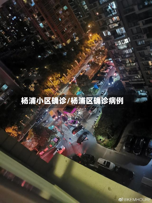 杨浦小区确诊/杨浦区确诊病例
