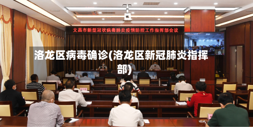 洛龙区病毒确诊(洛龙区新冠肺炎指挥部)